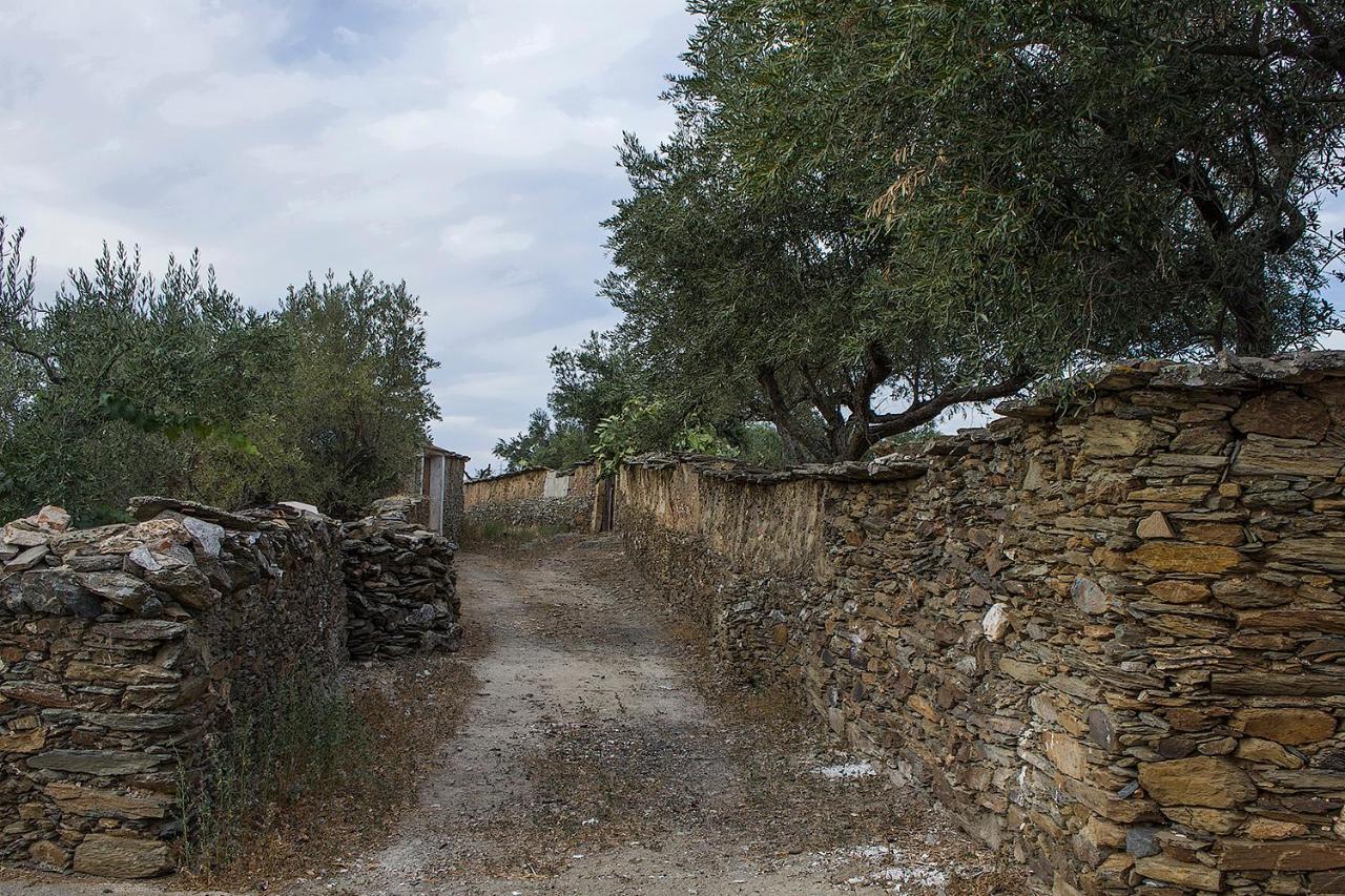 Casa Rural Julio Vegas Santiago Del Campo 外观 照片